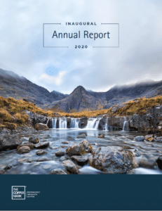 2020年年度报告